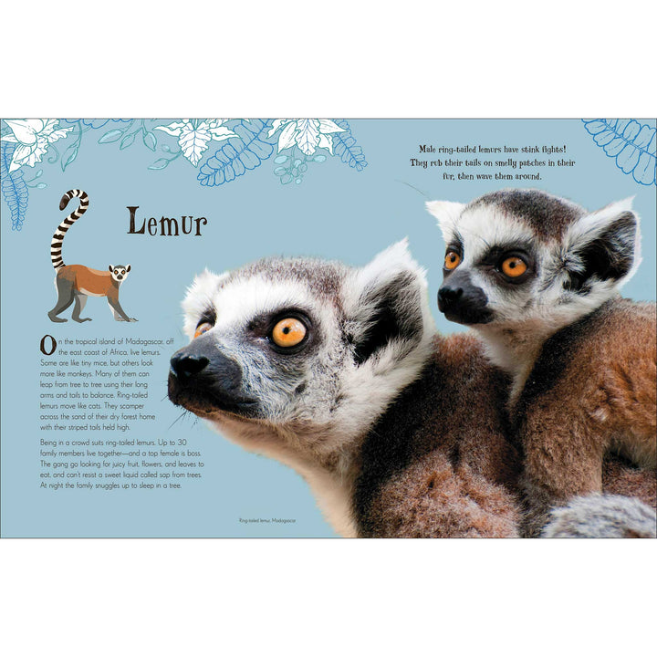 An Anthology of Intriguing Animals