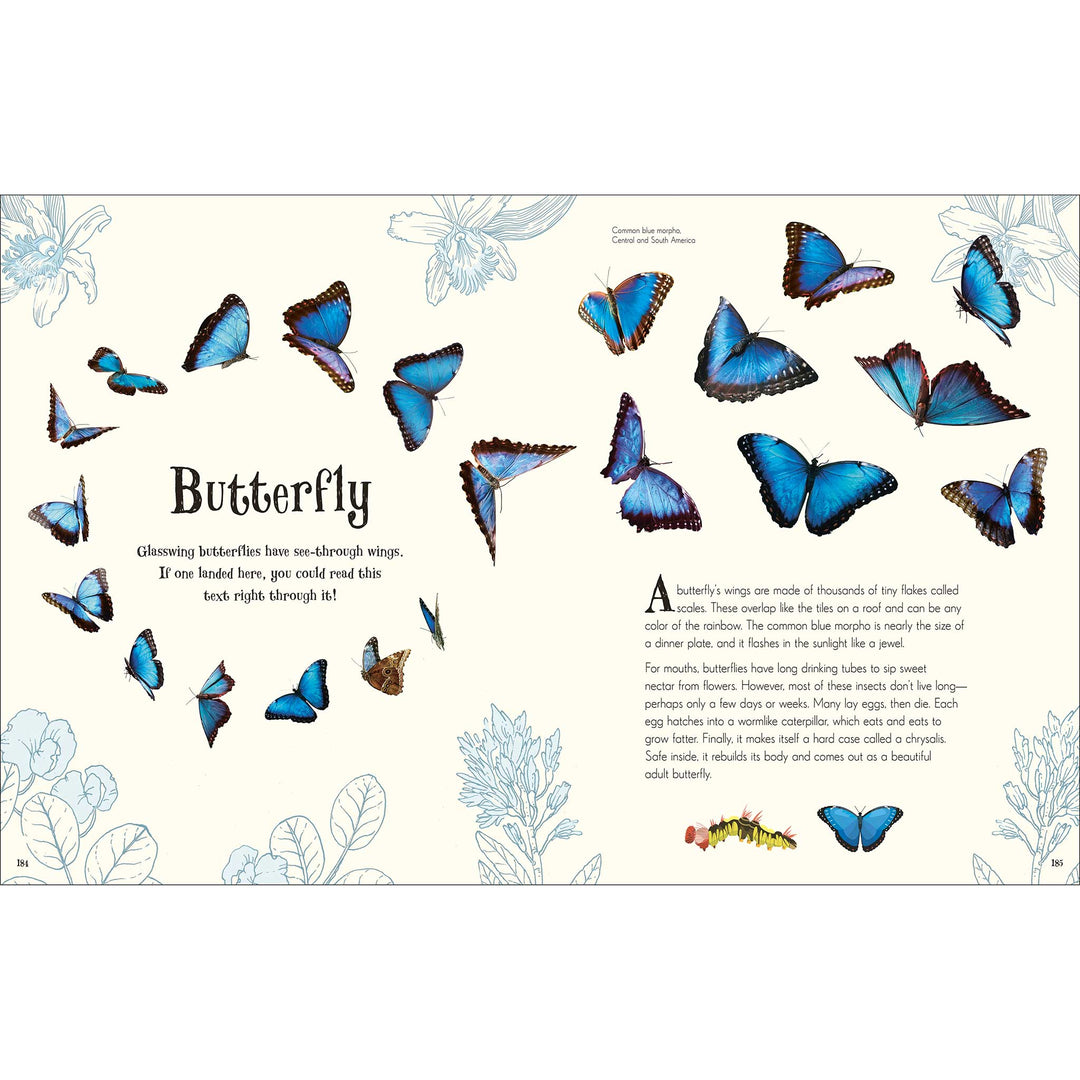 An Anthology of Intriguing Animals