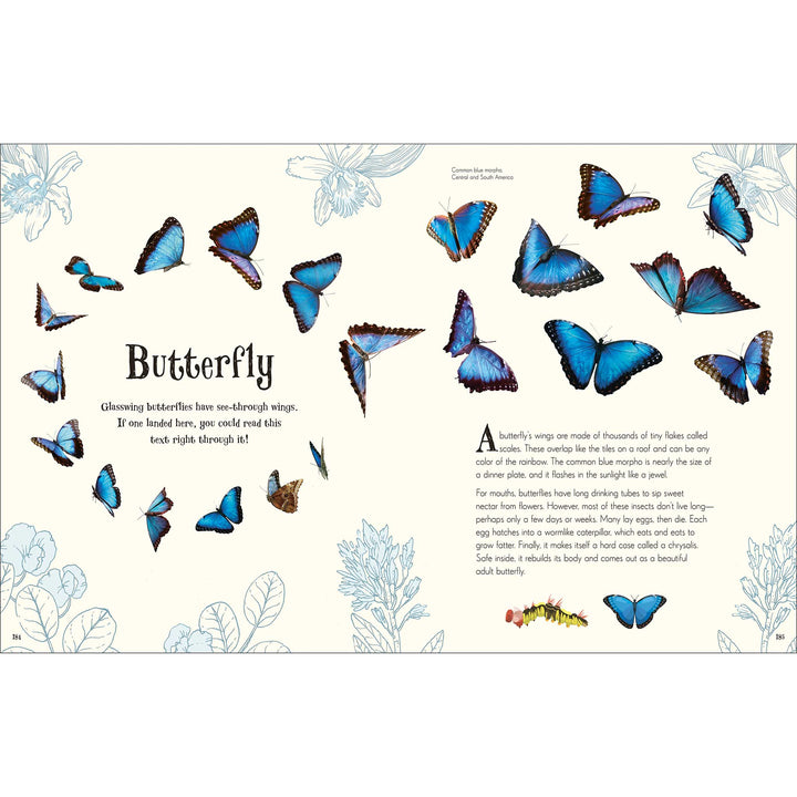 An Anthology of Intriguing Animals