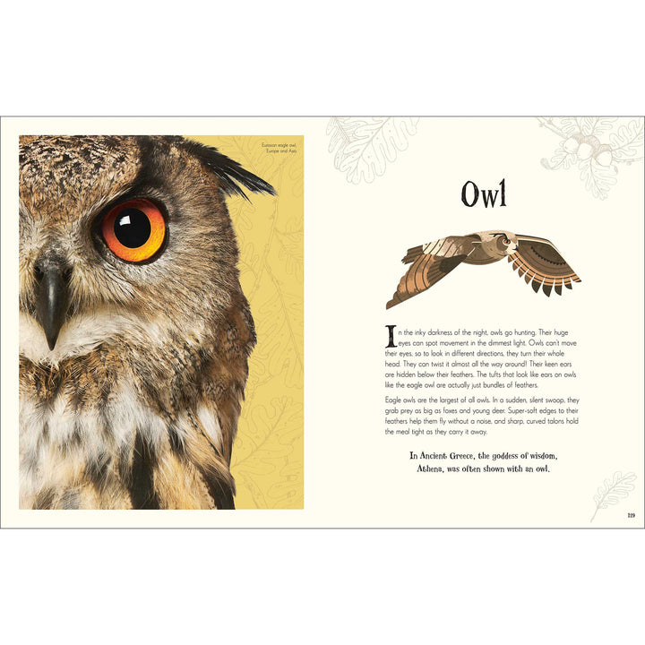 An Anthology of Intriguing Animals