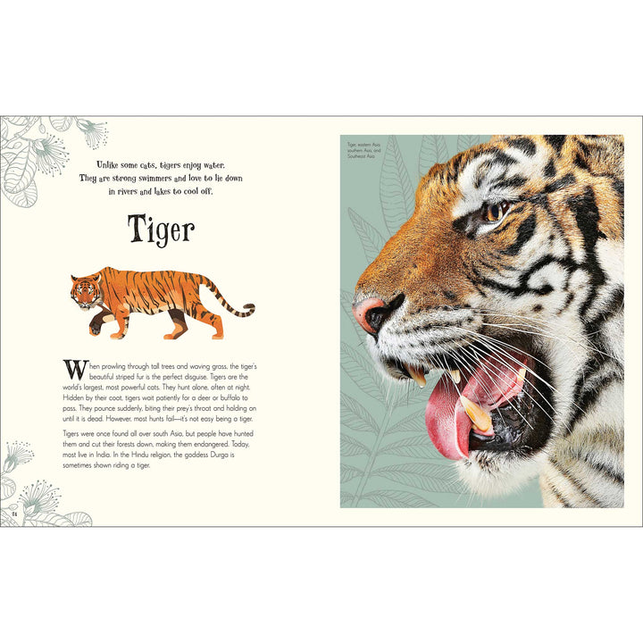 An Anthology of Intriguing Animals
