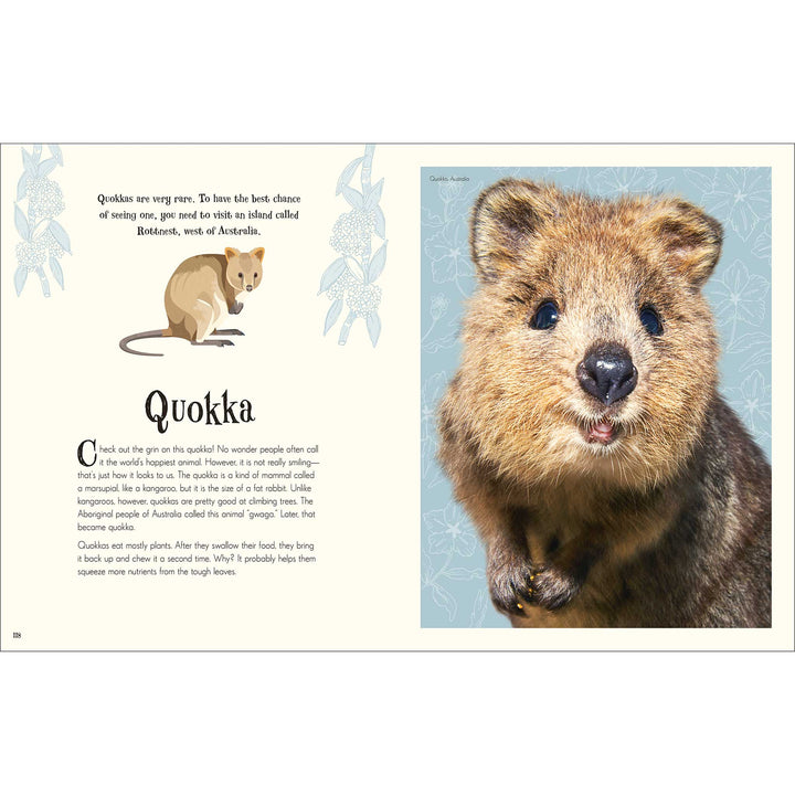 An Anthology of Intriguing Animals