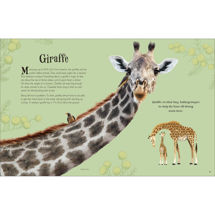An Anthology of Intriguing Animals