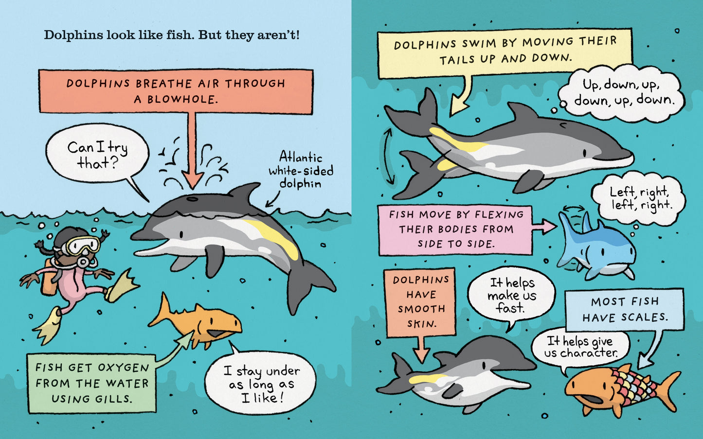 The Truth About Dolphins