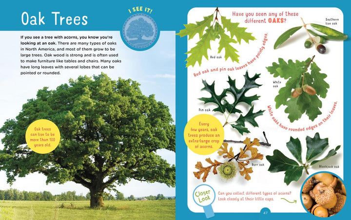Discovering Trees