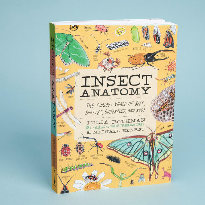 Insect Anatomy