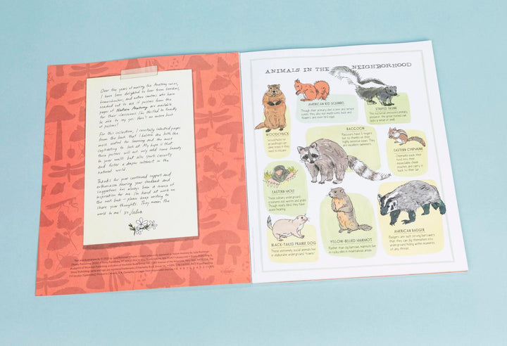 Nature Anatomy Posters