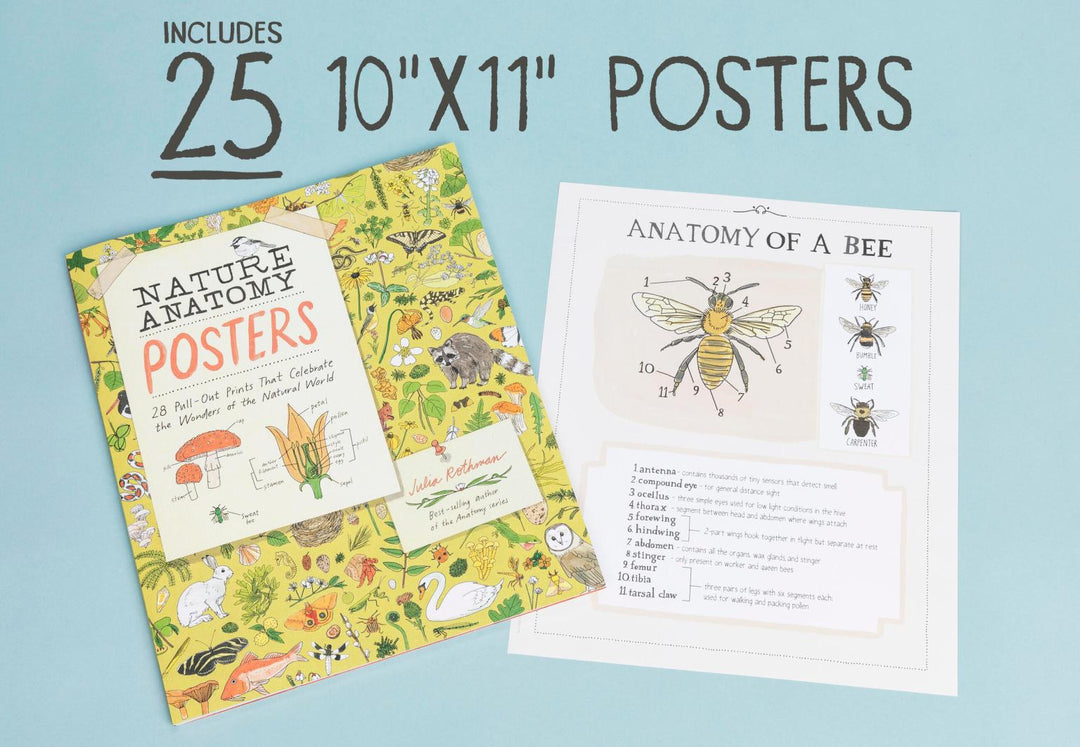 Nature Anatomy Posters