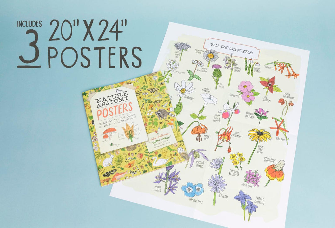 Nature Anatomy Posters