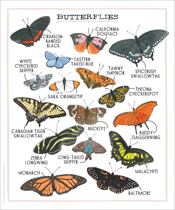 Nature Anatomy Posters