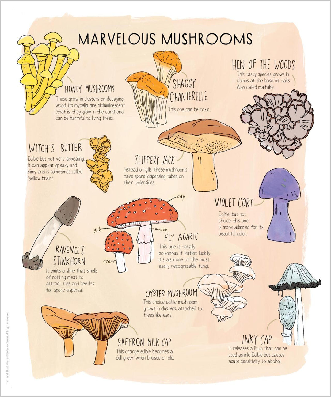 Nature Anatomy Posters