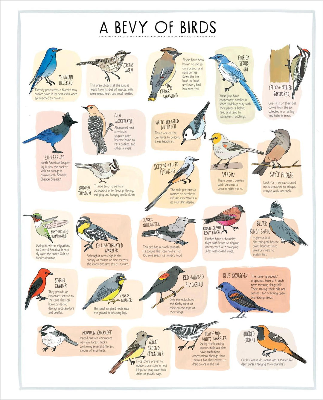 Nature Anatomy Posters