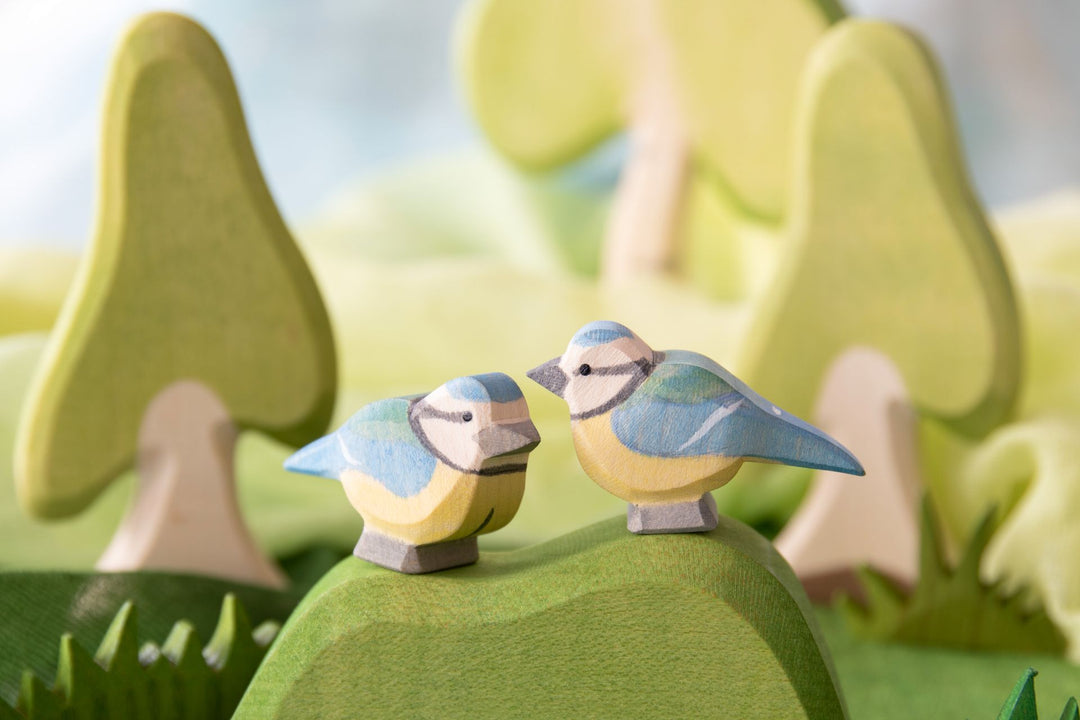 Ostheimer blue tit