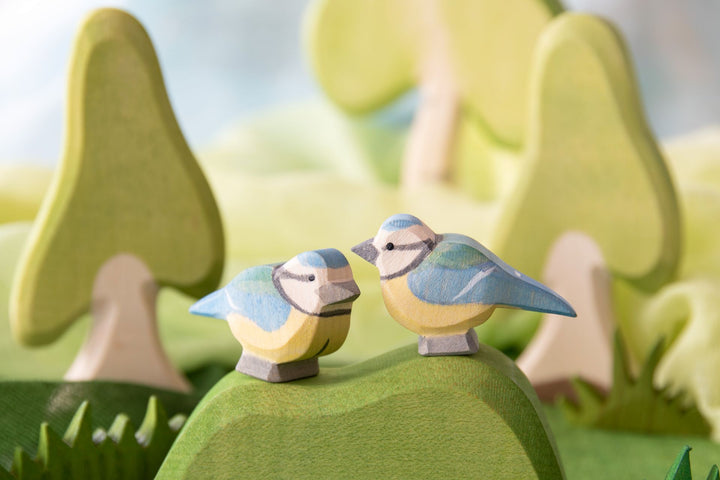 Ostheimer blue tit
