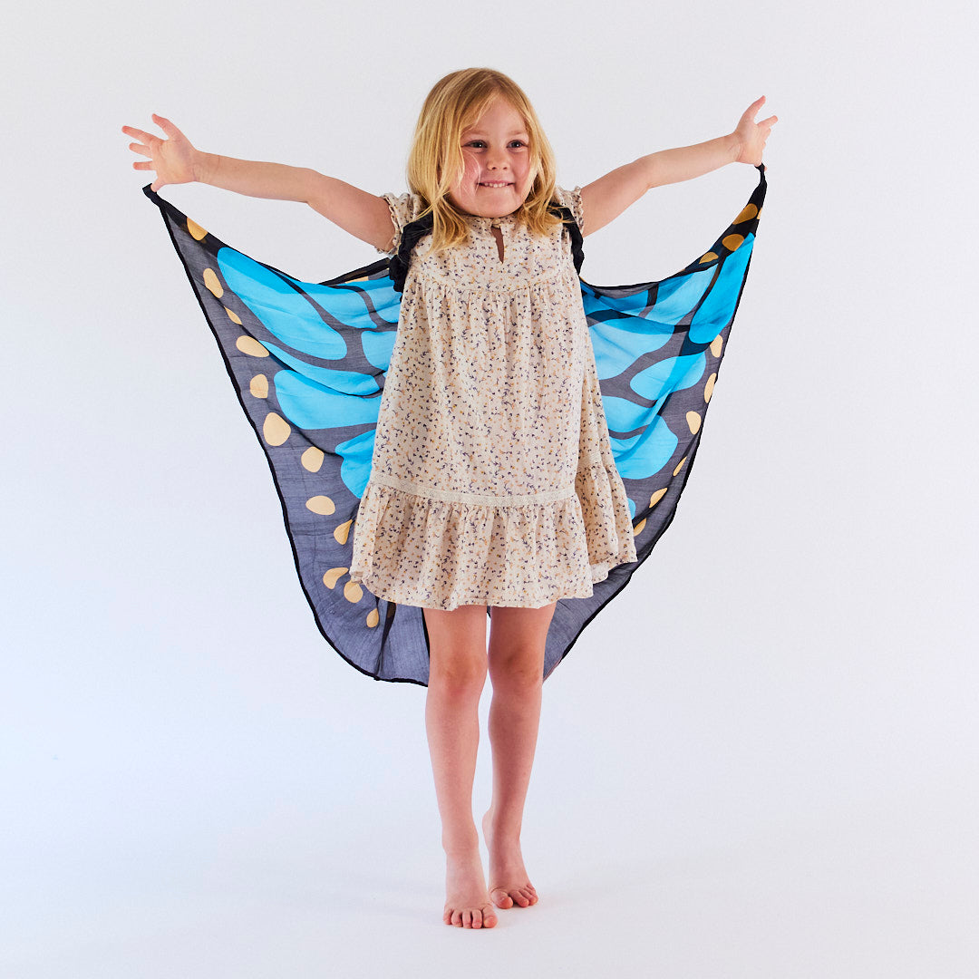 blue butterfly wings
