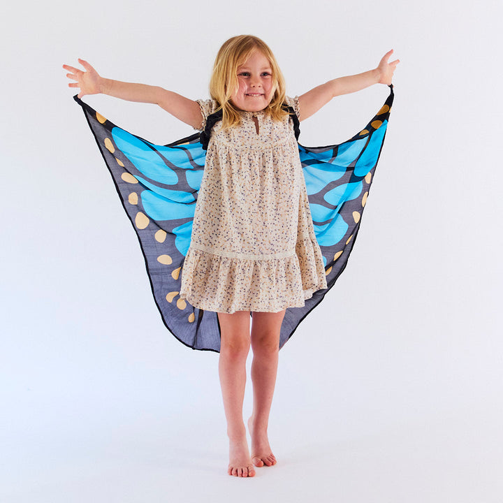 blue butterfly wings