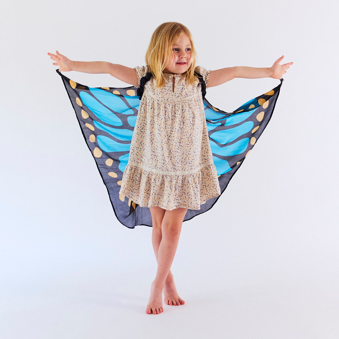 blue butterfly wings