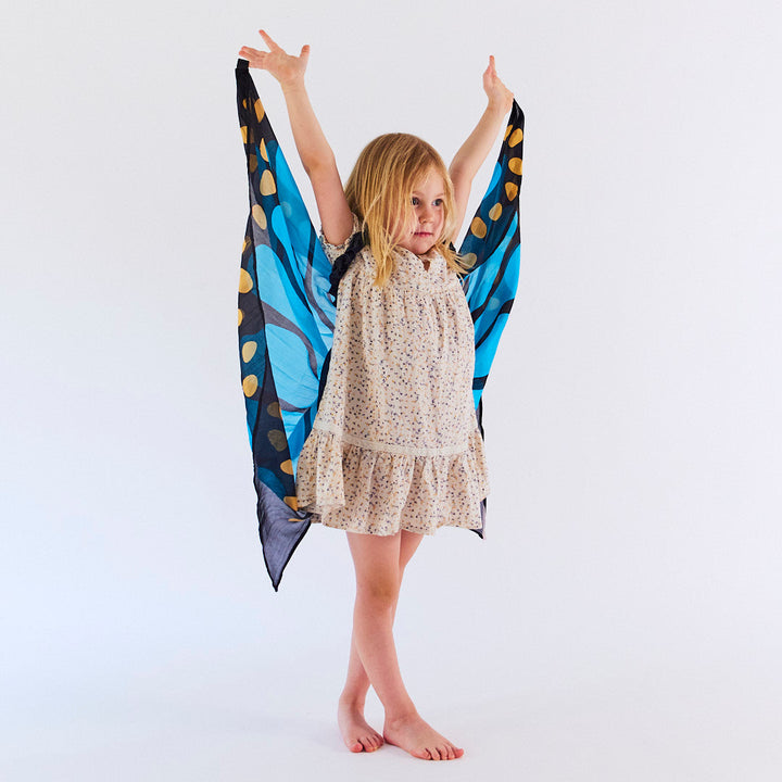 blue butterfly wings