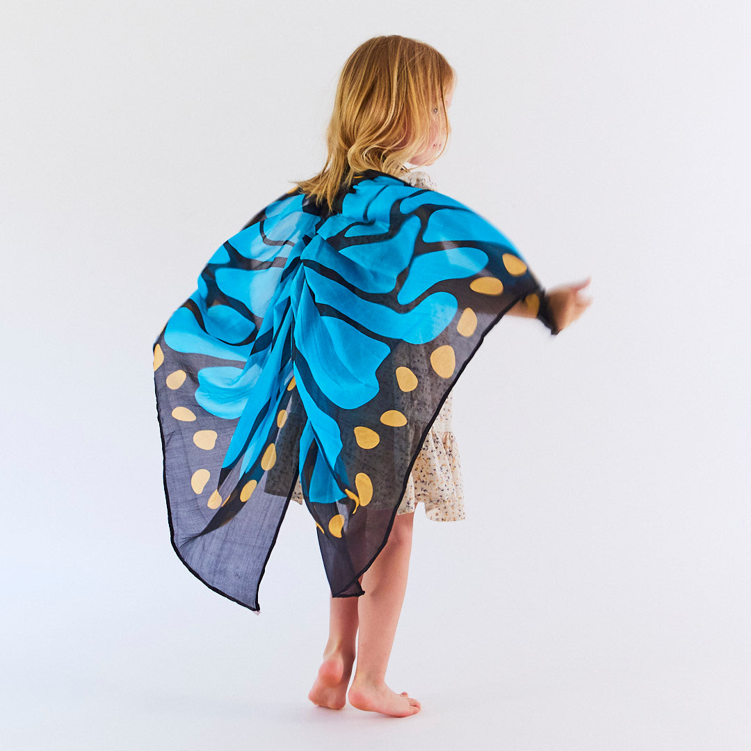 blue butterfly wings