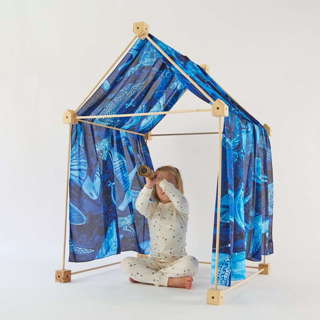 double What We See in the Stars playsilk