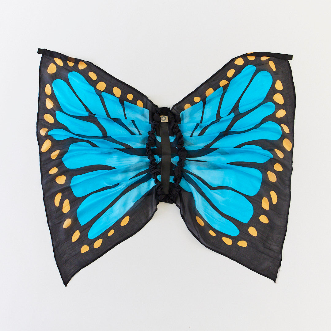 blue butterfly wings
