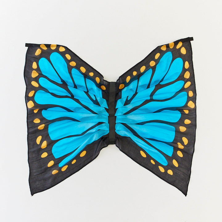 blue butterfly wings