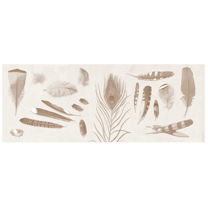 Feathers: Not Just for Flying