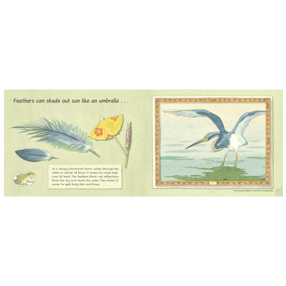 Feathers: Not Just for Flying