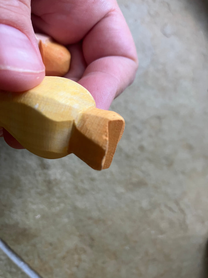 Ostheimer princess for frog king (seconds)