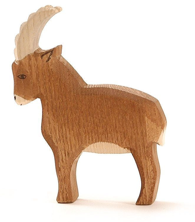 Ostheimer mountain goat standing