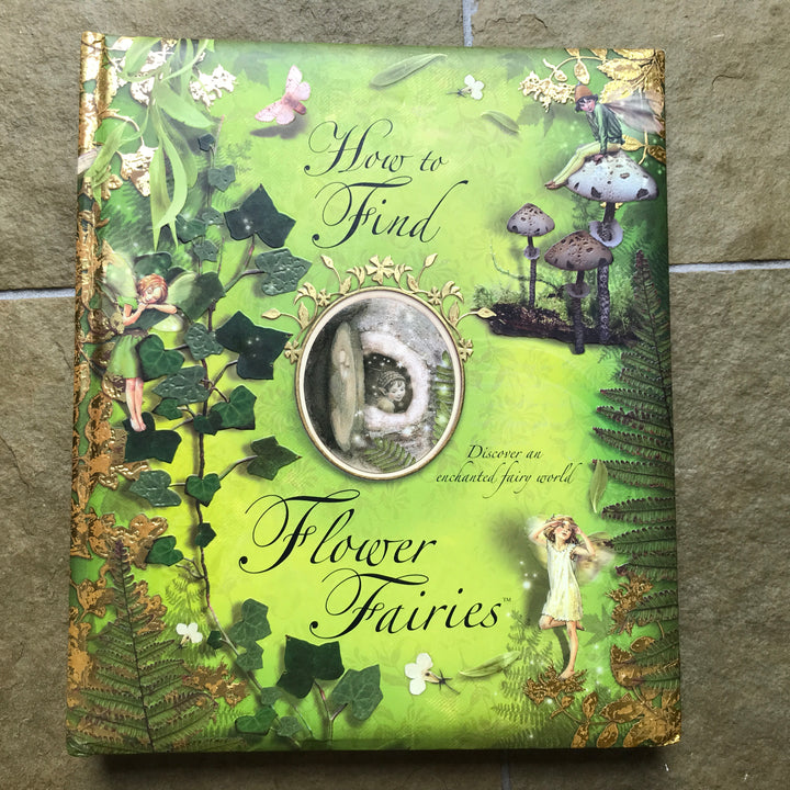How to Find Flower Fairies - gently read