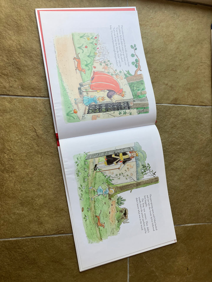 Princess Sylvie (secondhand, gently read)