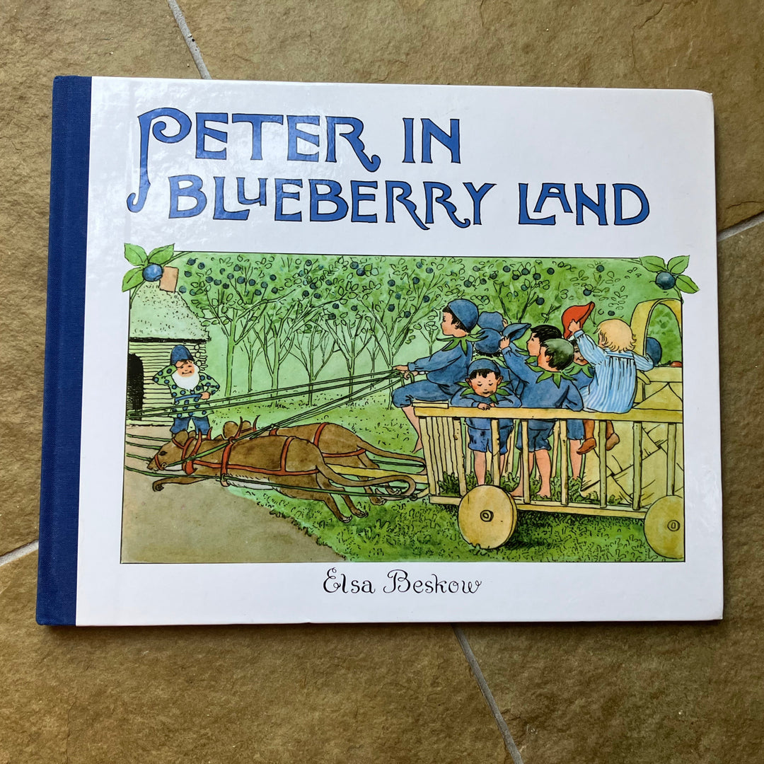 Peter in Blueberry Land (secondhand, gently read)