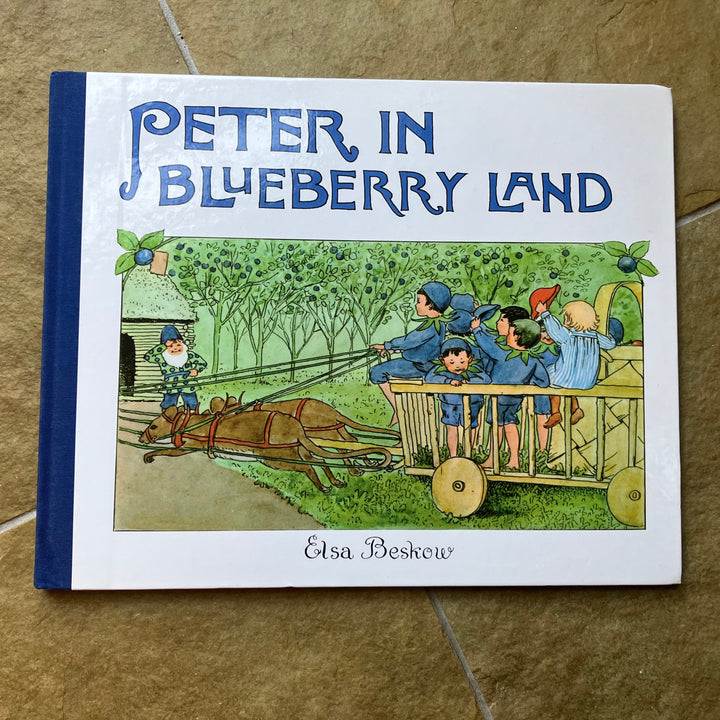 Peter in Blueberry Land (secondhand, gently read)