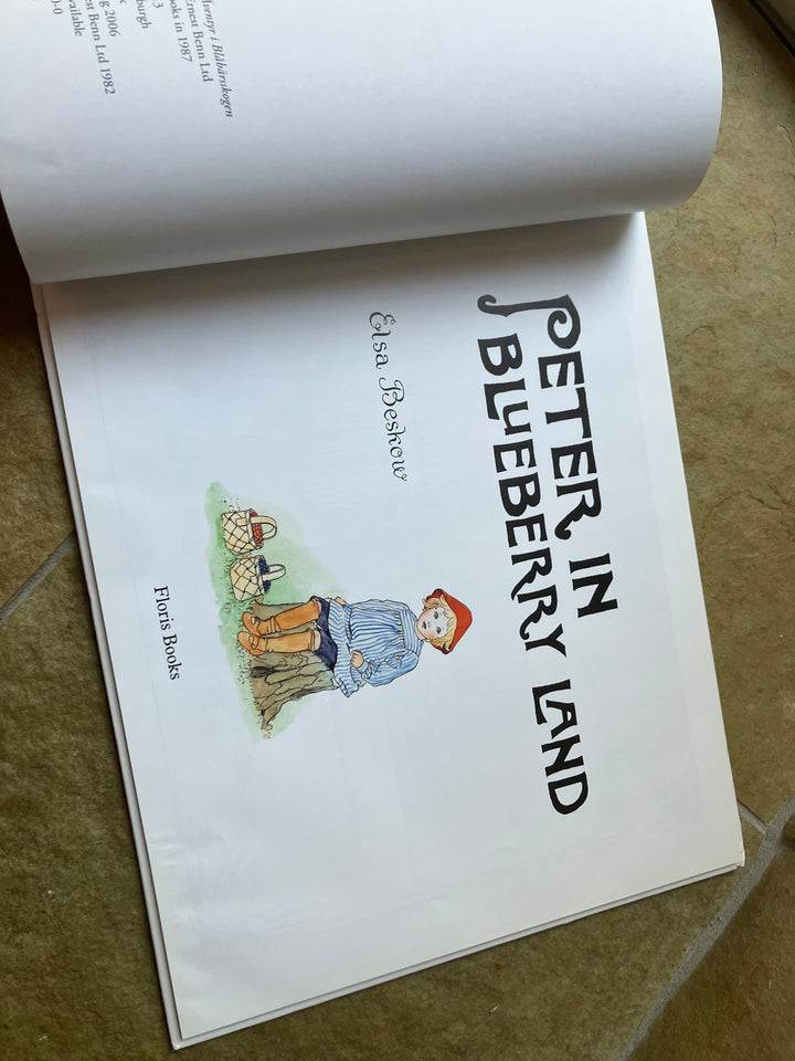 Peter in Blueberry Land (secondhand, gently read)