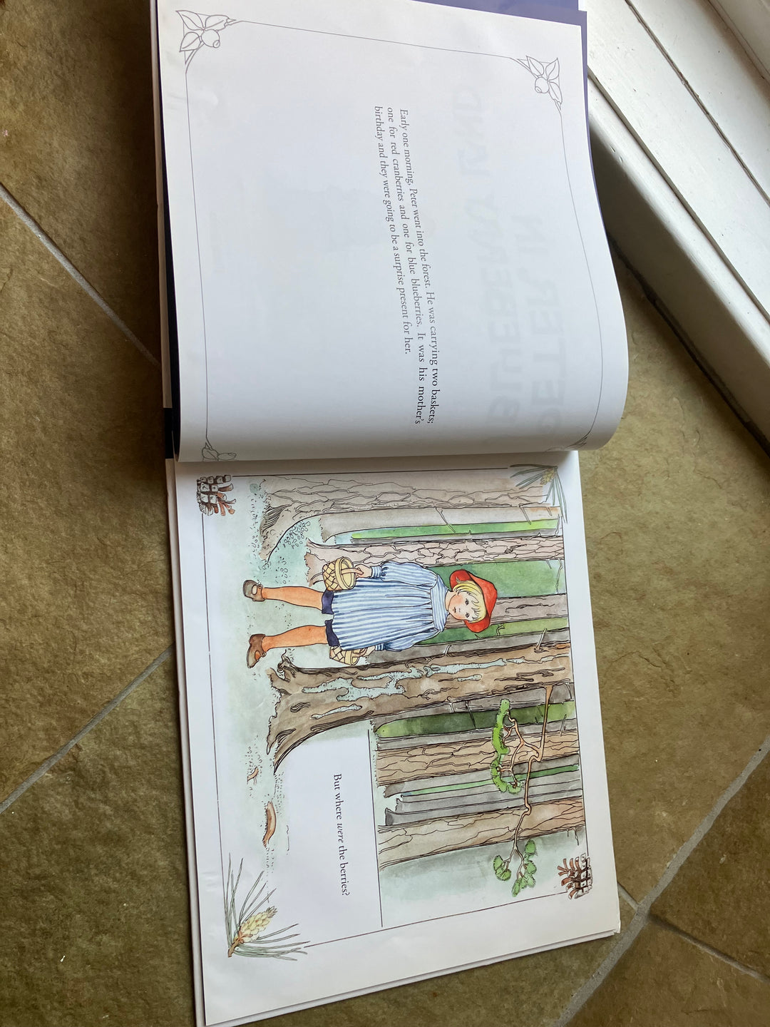 Peter in Blueberry Land (secondhand, gently read)