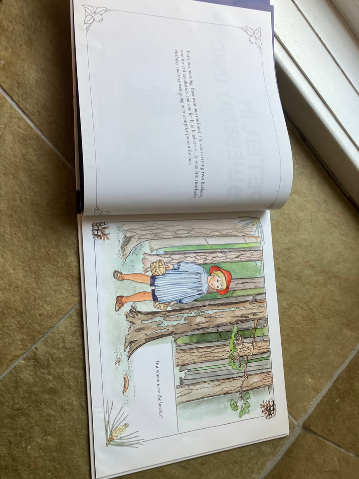 Peter in Blueberry Land (secondhand, gently read)