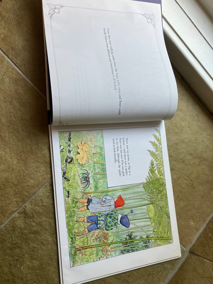 Peter in Blueberry Land (secondhand, gently read)