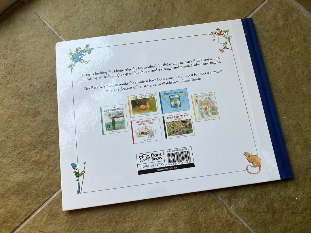 Peter in Blueberry Land (secondhand, gently read)