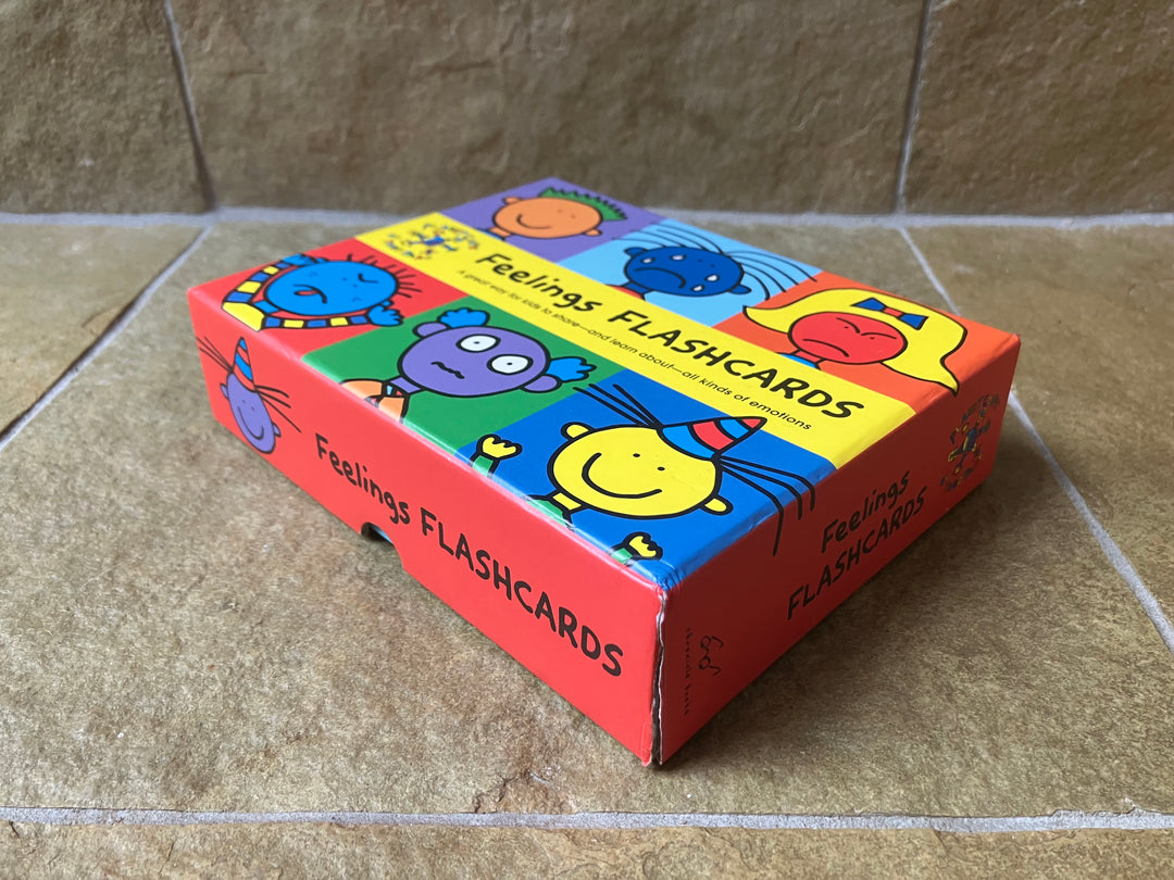 Todd Parr’s Feelings Flash Cards (secondhand)