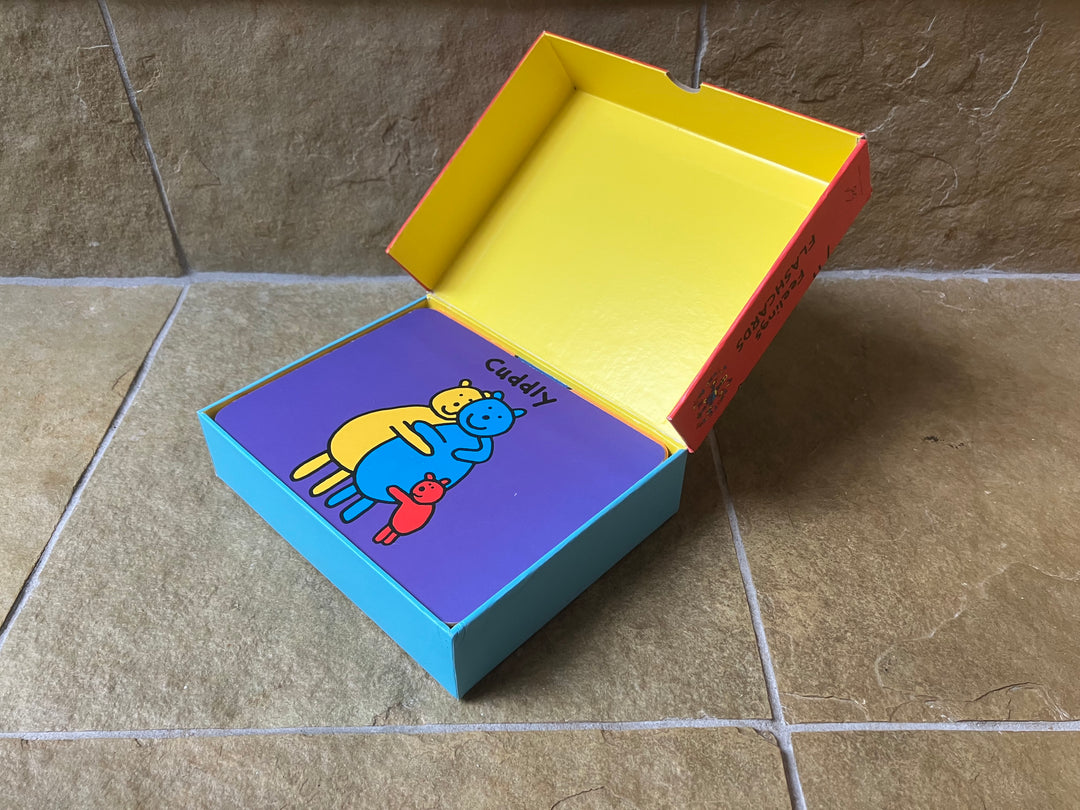 Todd Parr’s Feelings Flash Cards (secondhand)