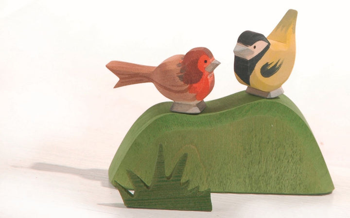 Ostheimer redbreast robin