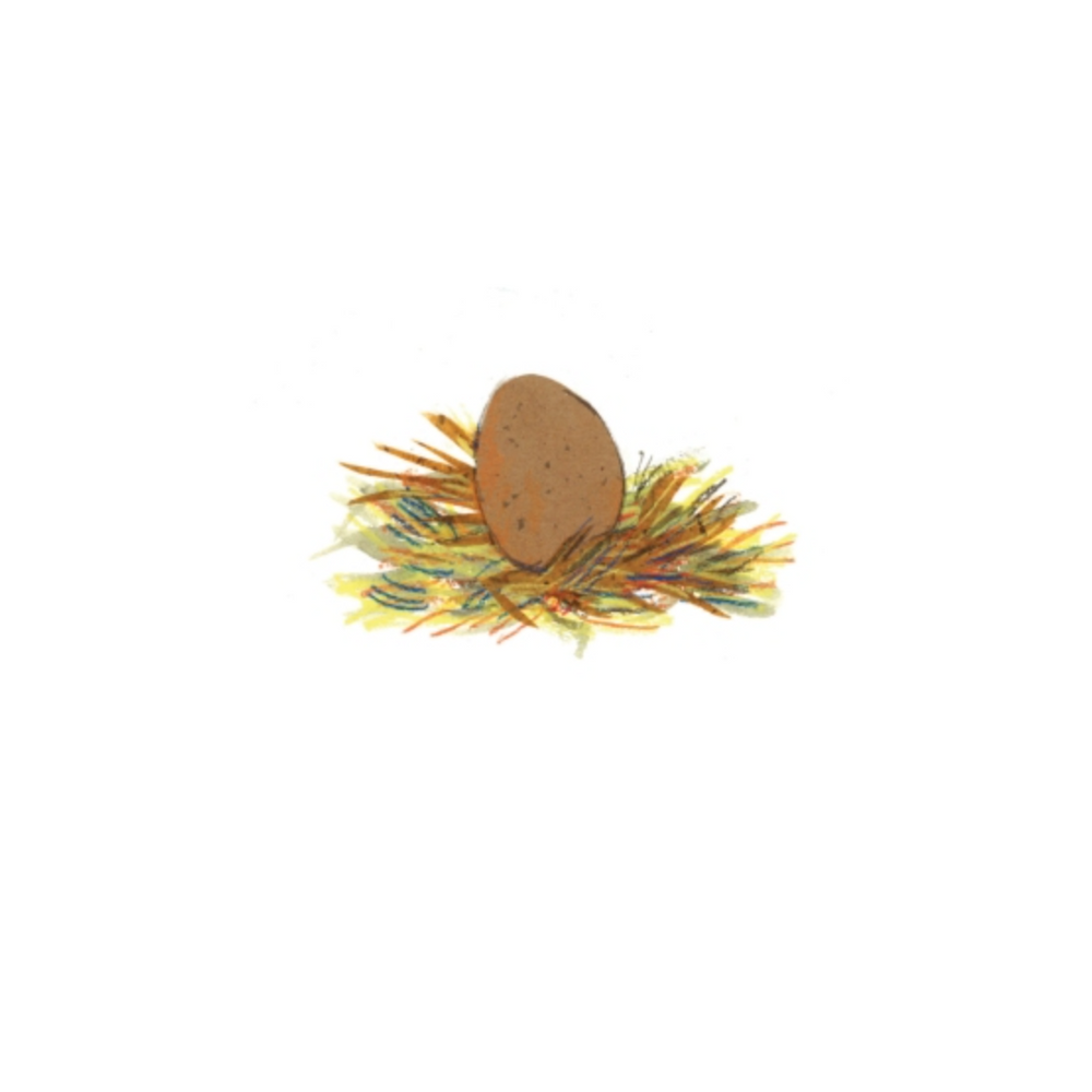 Illustration of a brown egg in a nest on a white background