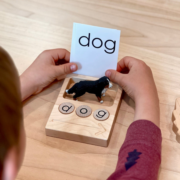 Spelling Trays
