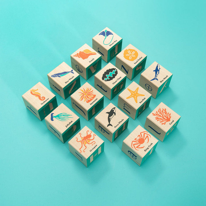 ocean blocks