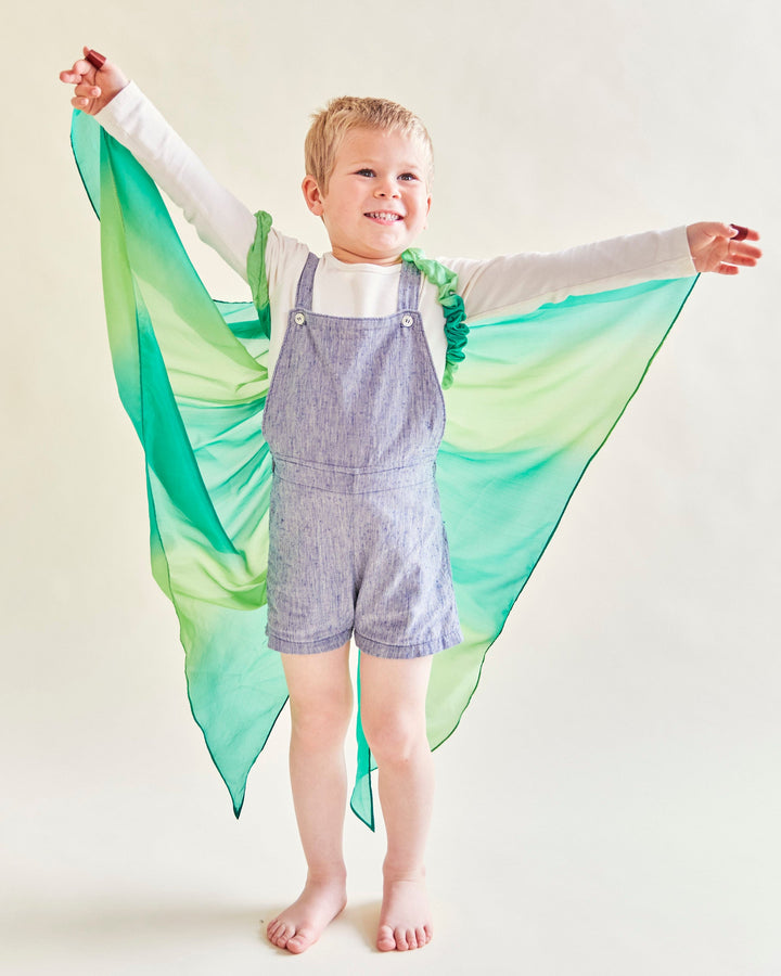 forest fairy silk wings