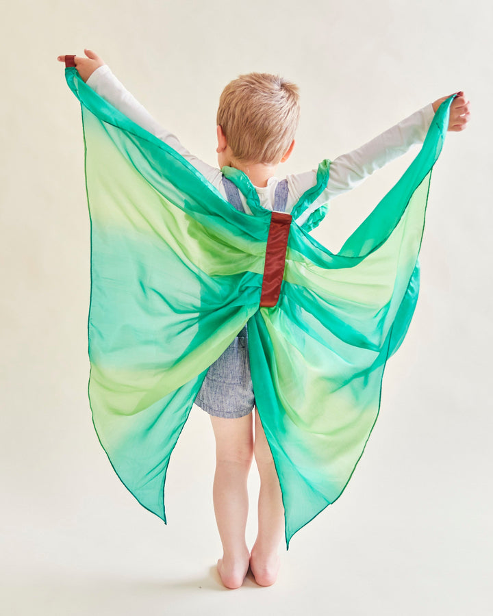 forest fairy silk wings