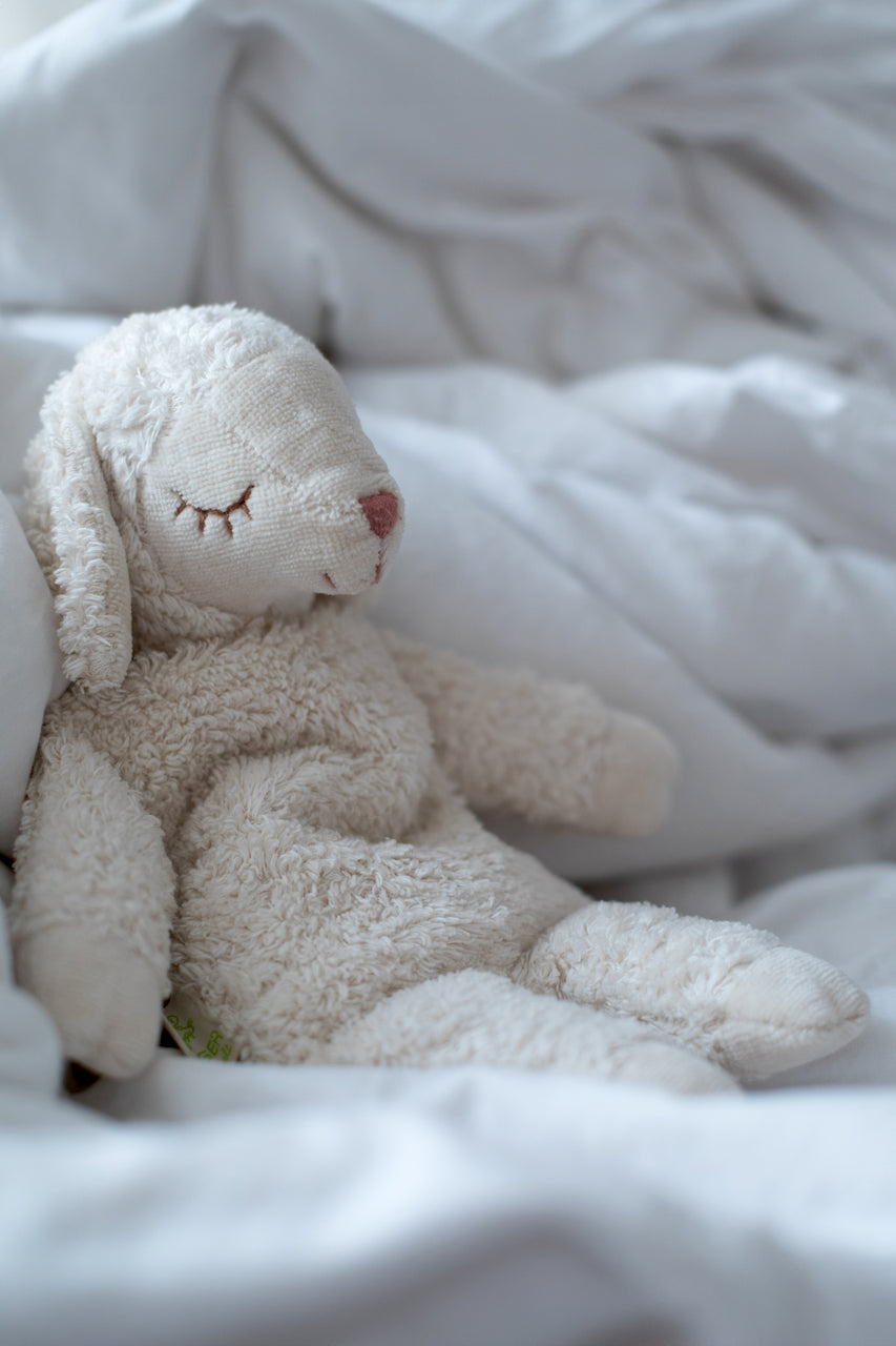 cuddly white sheep with warming inlet