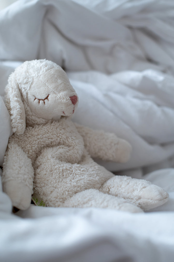 cuddly white sheep with warming inlet