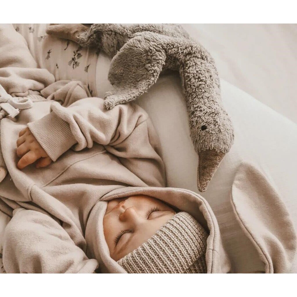 cuddly goose, grey